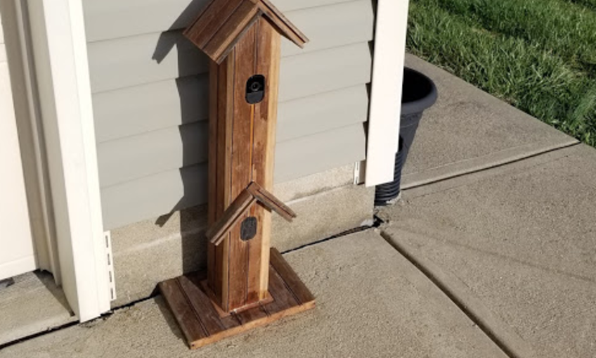 Birdhouse hot sale hidden camera