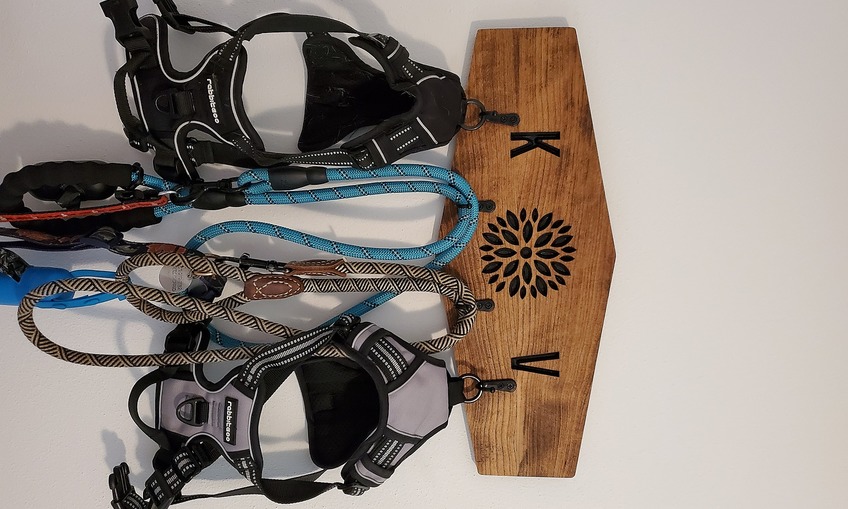 Dog leash/harness hanger Inventables