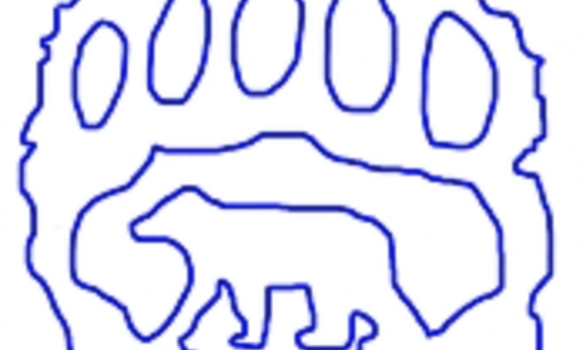 ourson marche a 4 pattes