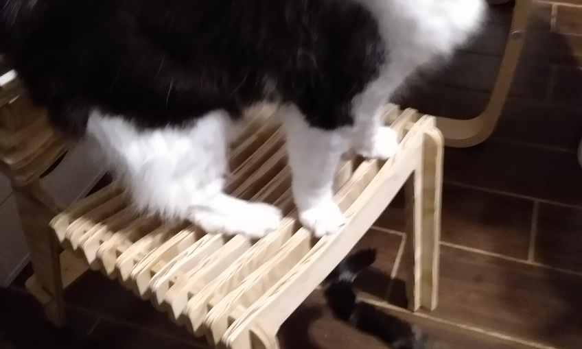 cat chair d Inventables