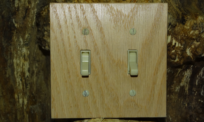 2Gang Switch Plate Inventables